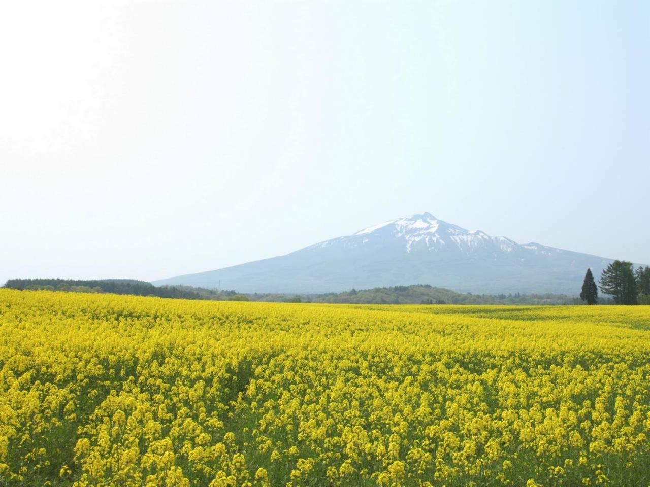 Apa Hotel Aomori Eki Kenchodori Экстерьер фото